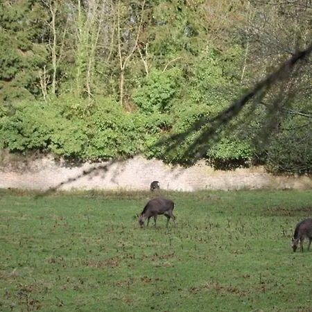 Lodge Lilac Hut Shepherds Hut Jenkinstown Park