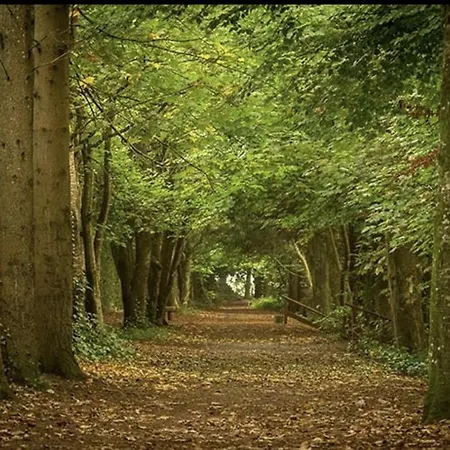 Lilac Hut Shepherds Hut Jenkinstown Park
