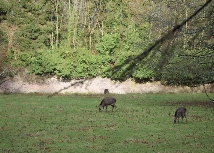 Orman Evi Lilac Hut Shepherds Hut Jenkinstown Park