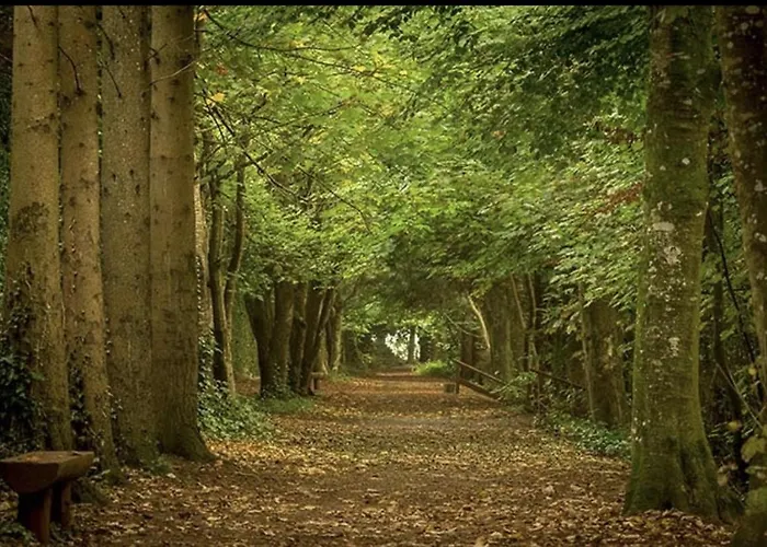 Lilac Hut Shepherds Hut Jenkinstown Park